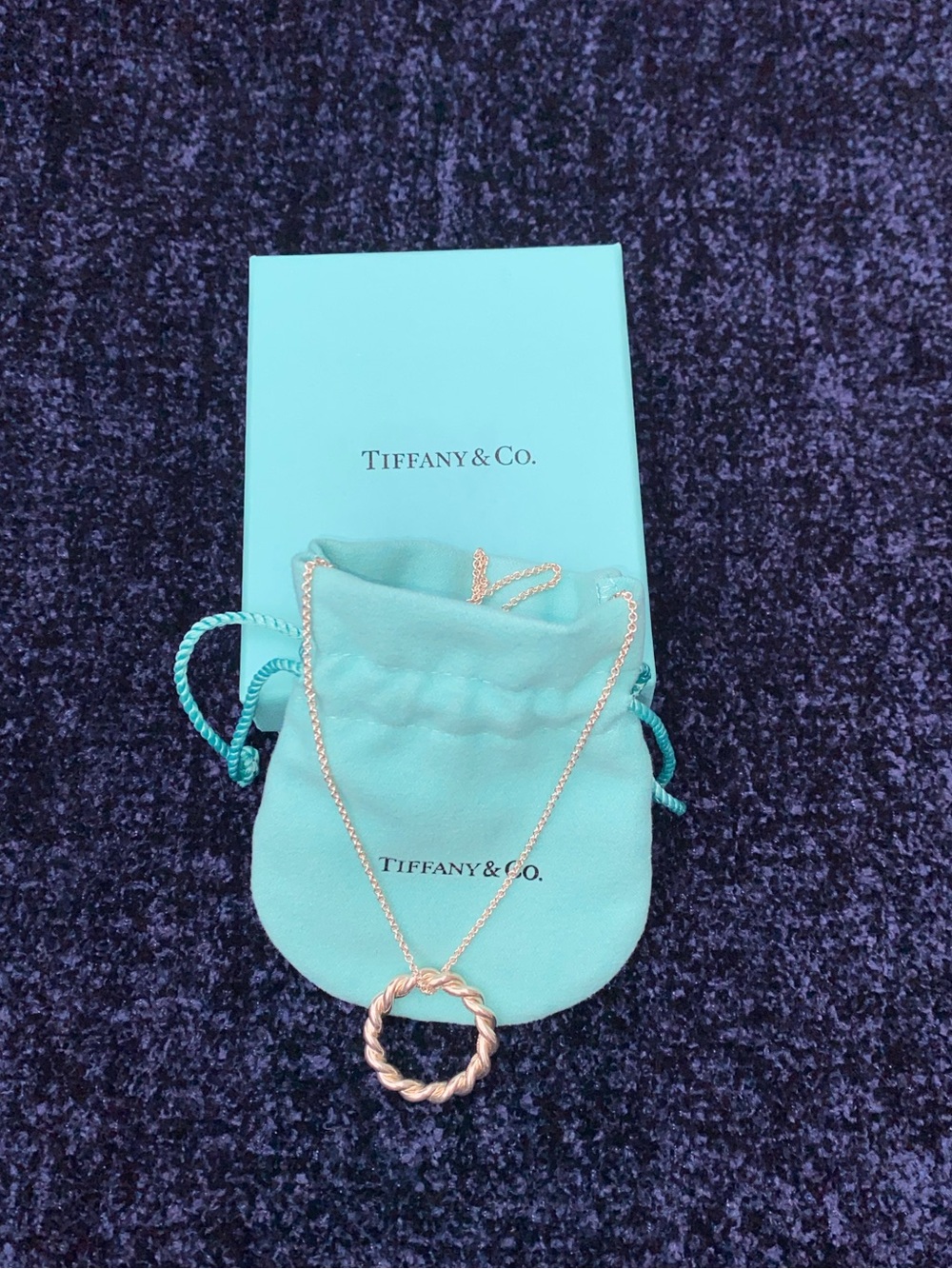 RARE Tiffany & Co 925 Silver Floating Rope Circle 18” Necklace with Pouch & Box